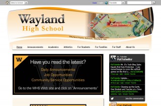 Wayland School